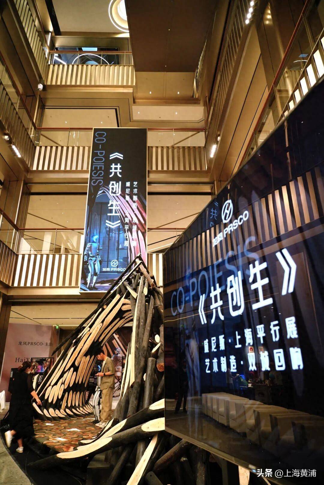 上海最强台风“遗产”,没有被粉碎焚烧,而是在淮海路“重活”一次